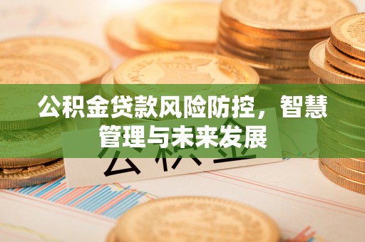 潮安公积金贷款风险防控，智慧管理与未来发展