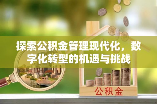 潮安探索公积金管理现代化，数字化转型的机遇与挑战