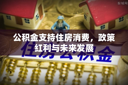 潮安公积金支持住房消费，政策红利与未来发展