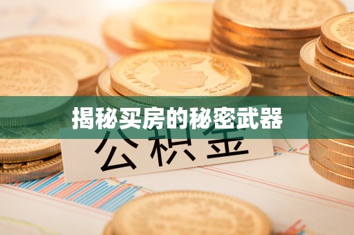 潮安揭秘买房的秘密武器