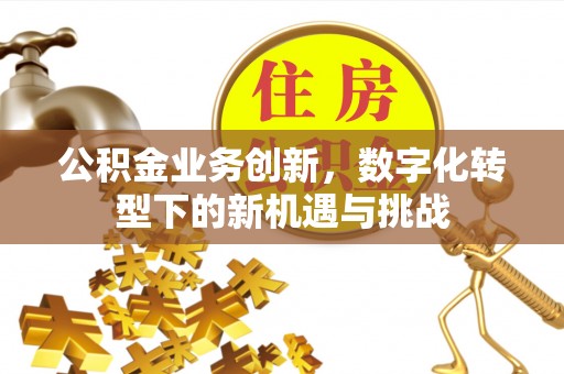 潮安公积金业务创新，数字化转型下的新机遇与挑战