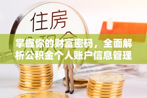 潮安掌握你的财富密码，全面解析公积金个人账户信息管理与优化