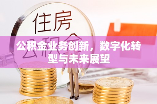 潮安公积金业务创新，数字化转型与未来展望