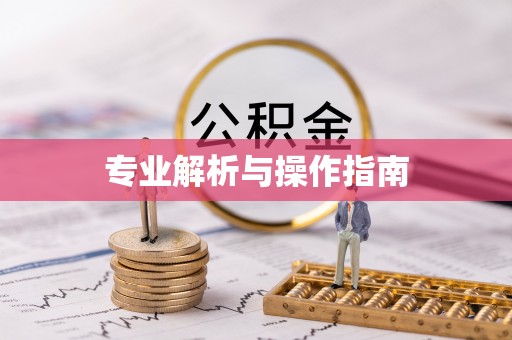 潮安专业解析与操作指南