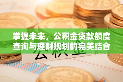 潮安掌握未来，公积金贷款额度查询与理财规划的完美结合