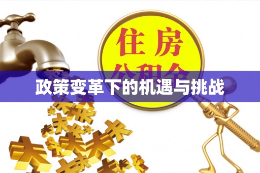 潮安政策变革下的机遇与挑战