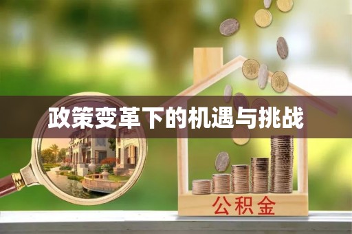 潮安政策变革下的机遇与挑战