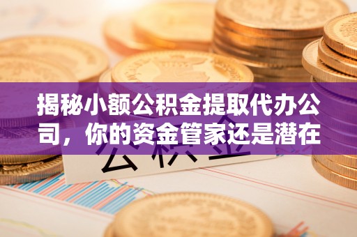 潮安揭秘小额公积金提取代办公司，你的资金管家还是潜在陷阱？
